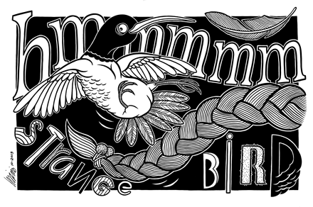 Hmmm Bird