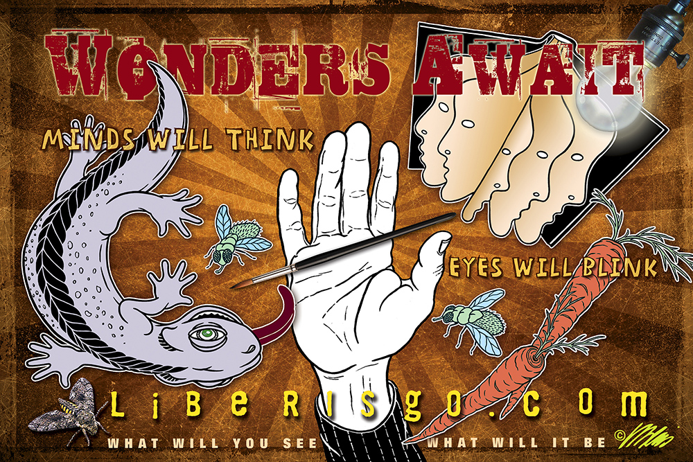 Digital Illustration